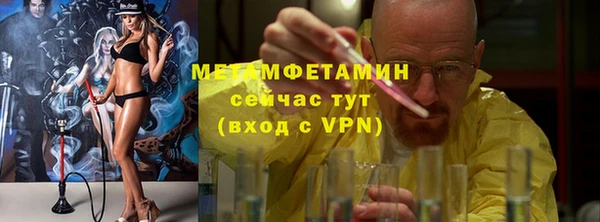 индика Костерёво