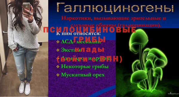 дмт Кукмор