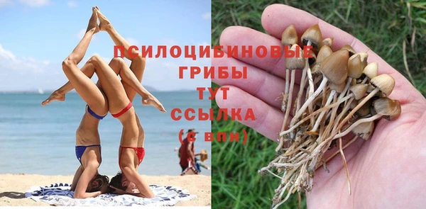 амф Нефтекумск