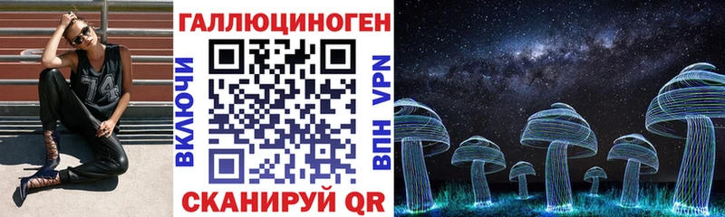 дарнет шоп  Удачный  Псилоцибиновые грибы GOLDEN TEACHER 